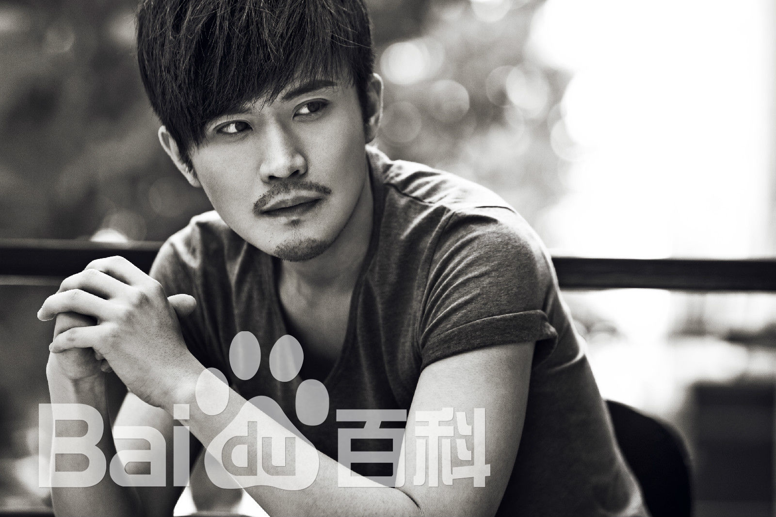 雷诺儿精选图册