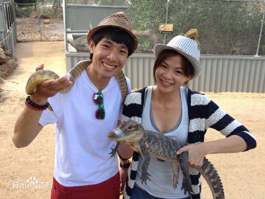 最新李美玲(TracyLee)壁纸