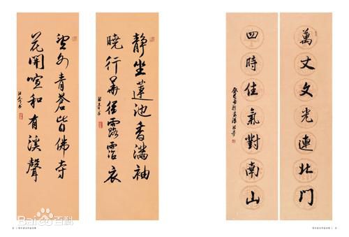 张奇书法集素颜照相册