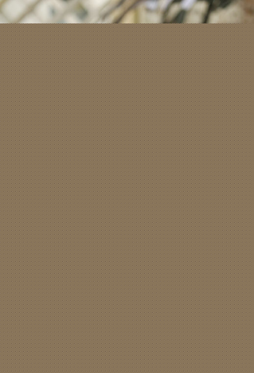 吴妍秀(韩文： 日文：オ·ヨンス)前后照片