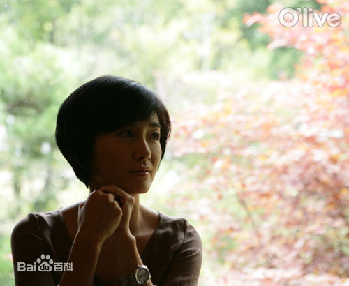 精选吴妍秀(韩文： 日文：オ·ヨンス)精彩图册