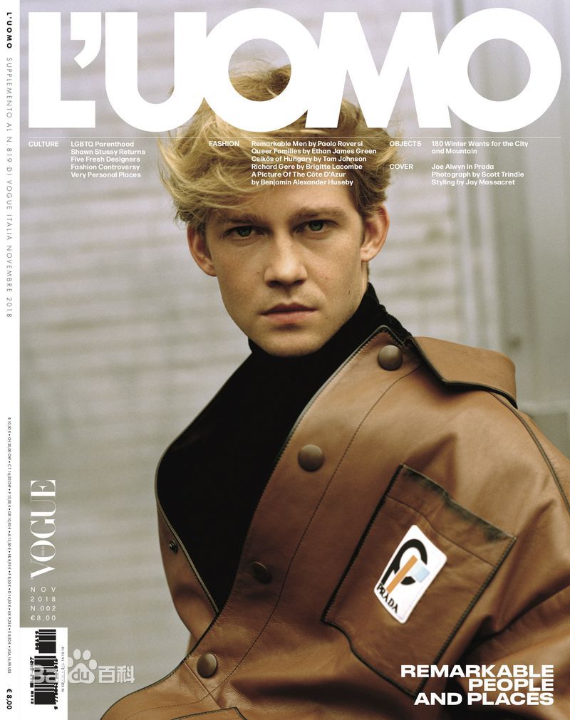 最优质乔·阿尔文(Joe Alwyn)生活照