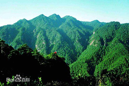 最优质井冈山(Jing Gangshan)生活照
