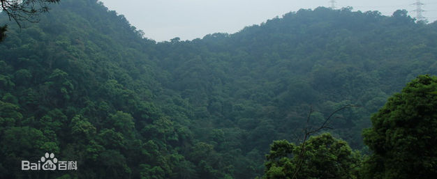 最全井冈山(Jing Gangshan)壁纸