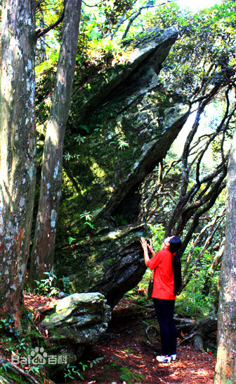 最全井冈山(Jing Gangshan)壁纸