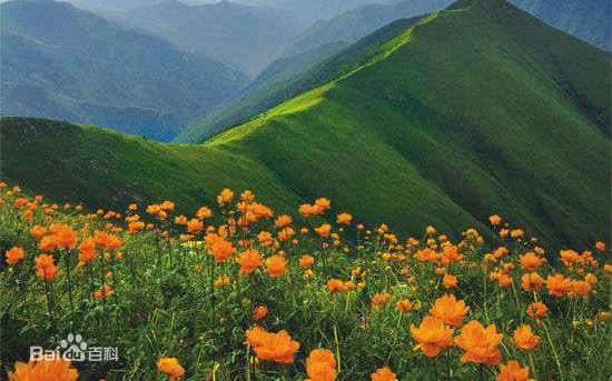 最全井冈山(Jing Gangshan)壁纸