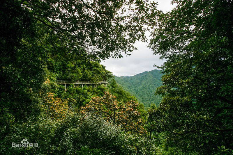 井冈山(Jing Gangshan)笔架山性感图片壁纸