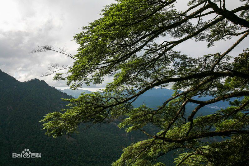 井冈山(Jing Gangshan)笔架山性感图片壁纸