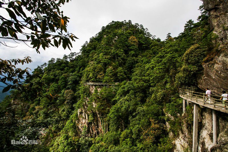 井冈山(Jing Gangshan)笔架山性感图片壁纸