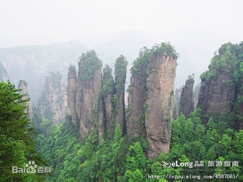 井冈山(Jing Gangshan)（二）图片图集