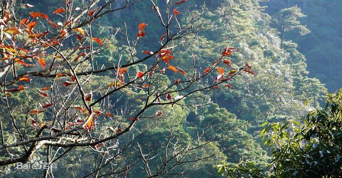 井冈山(Jing Gangshan)笔架山风景素颜照相册