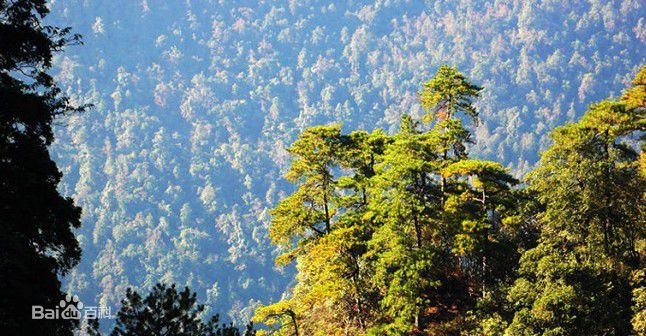 井冈山(Jing Gangshan)笔架山风景素颜照相册