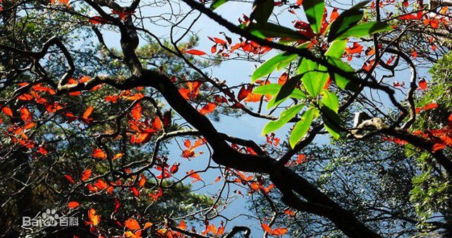 井冈山(Jing Gangshan)笔架山风景素颜照相册