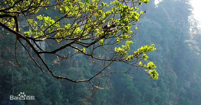 井冈山(Jing Gangshan)笔架山风景素颜照相册