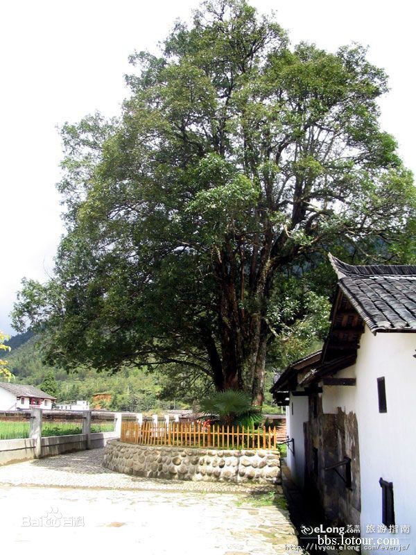 最新井冈山(Jing Gangshan)壁纸