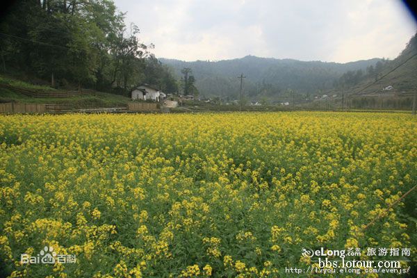 最新井冈山(Jing Gangshan)壁纸