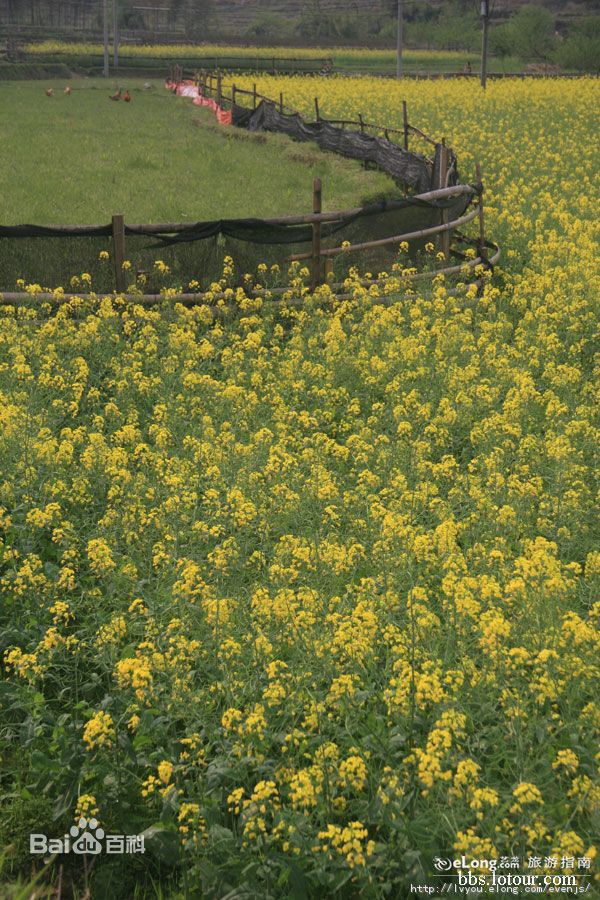 最新井冈山(Jing Gangshan)壁纸