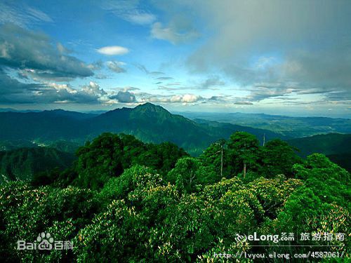 井冈山(Jing Gangshan)（五）壁纸壁纸