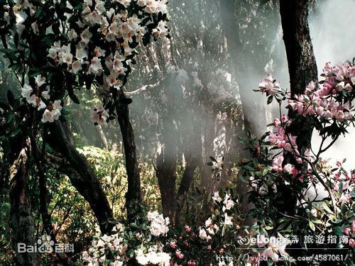 井冈山(Jing Gangshan)（五）壁纸壁纸