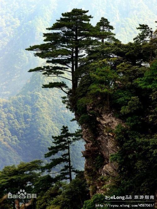 井冈山(Jing Gangshan)（五）壁纸壁纸