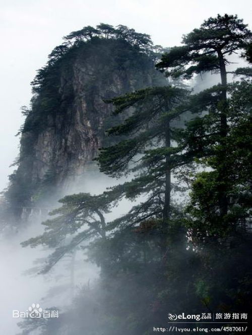 井冈山(Jing Gangshan)（五）壁纸壁纸