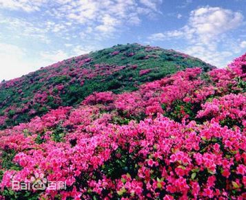 最新井冈山(Jing Gangshan)壁纸