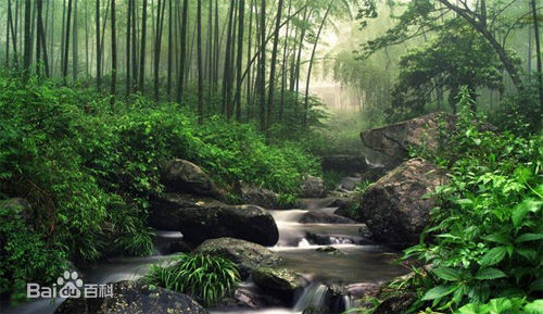 最新井冈山(Jing Gangshan)壁纸