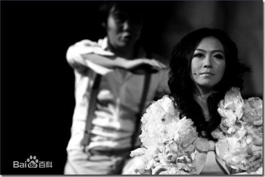 刘陆舞台精选剧照