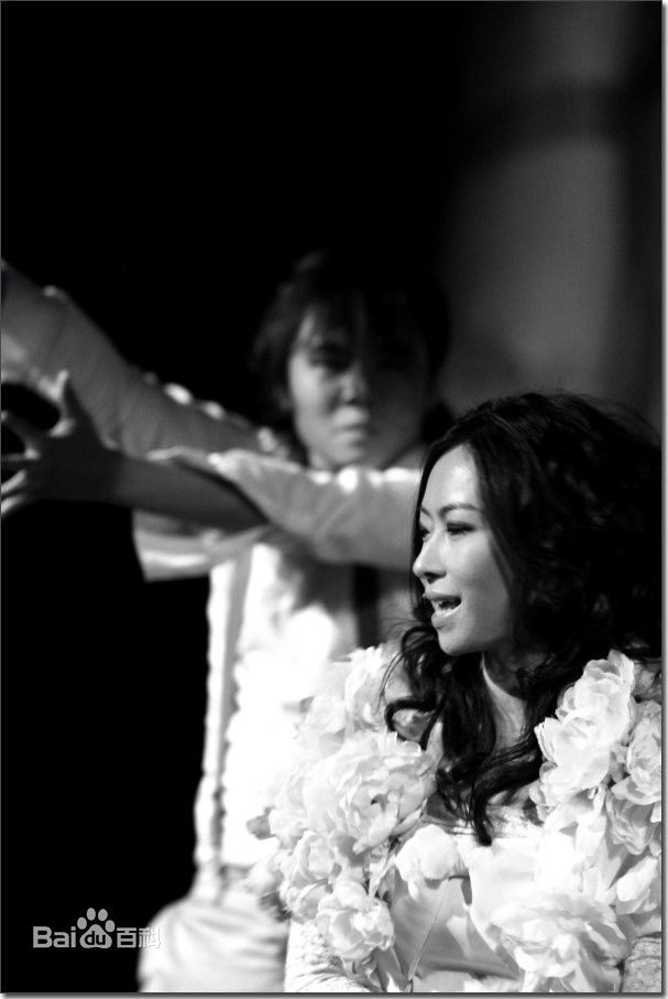 刘陆舞台精选剧照