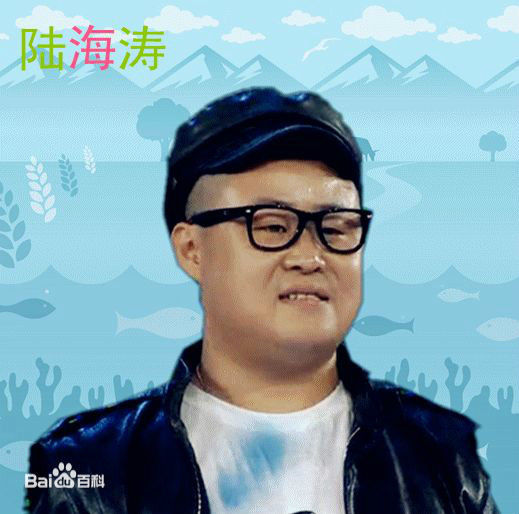 最全陆海涛壁纸