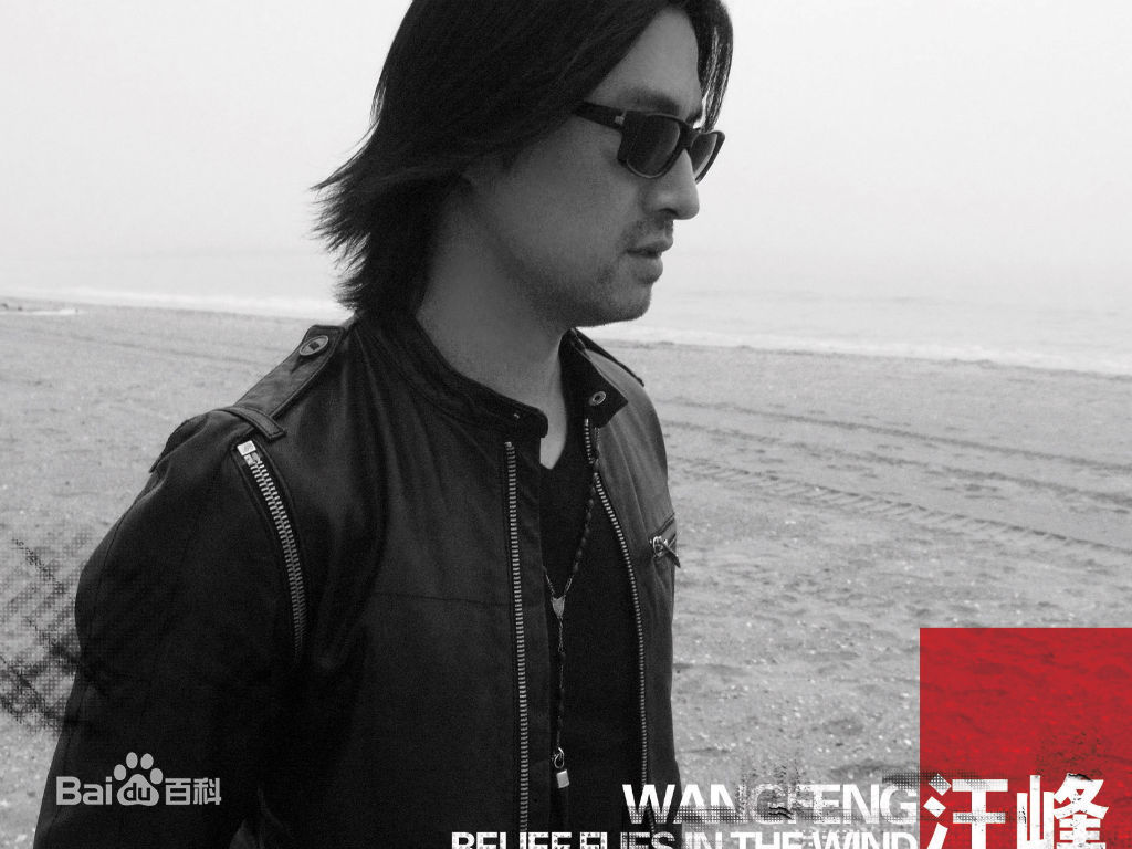 最新汪峰精彩图册