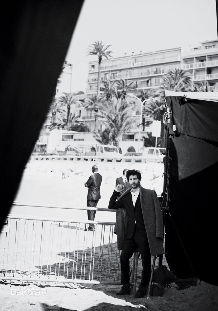 最全塔哈·拉希姆壁纸