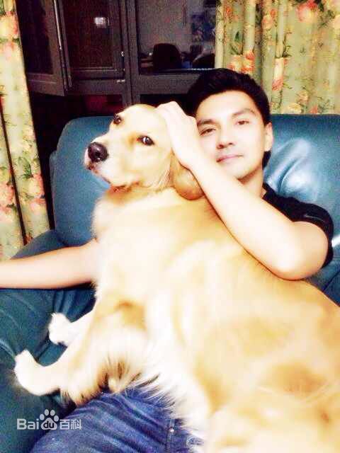 最新王今心壁纸