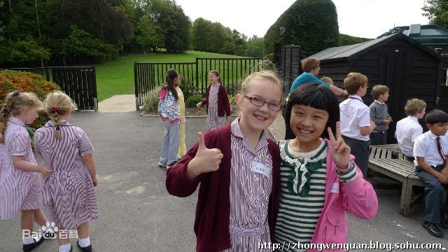 最新钟雯冠壁纸