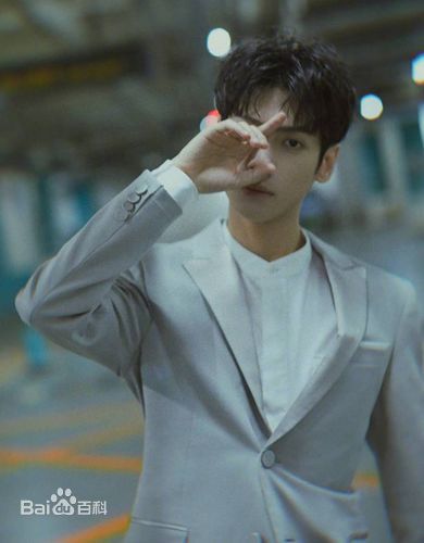 罗云熙(Leo)概述图册前后照片