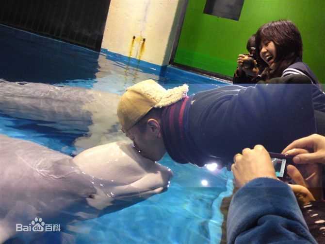 孙红雷前后照片