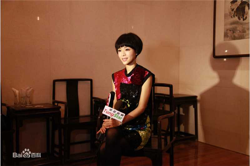 张静初(Zhang Jingchu)活动照素颜照相册