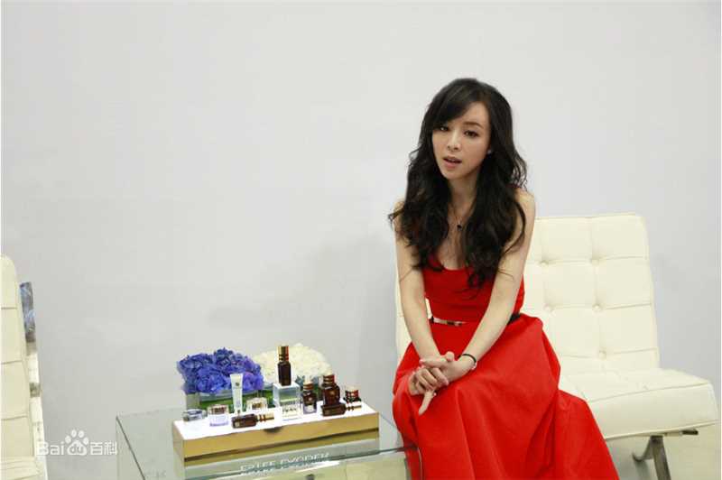 张静初(Zhang Jingchu)活动照素颜照相册