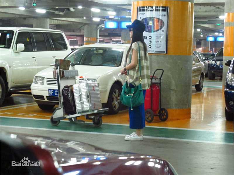 最新张静初(Zhang Jingchu)精彩图册