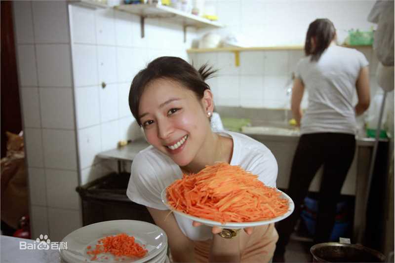 张静初(Zhang Jingchu)精彩图册