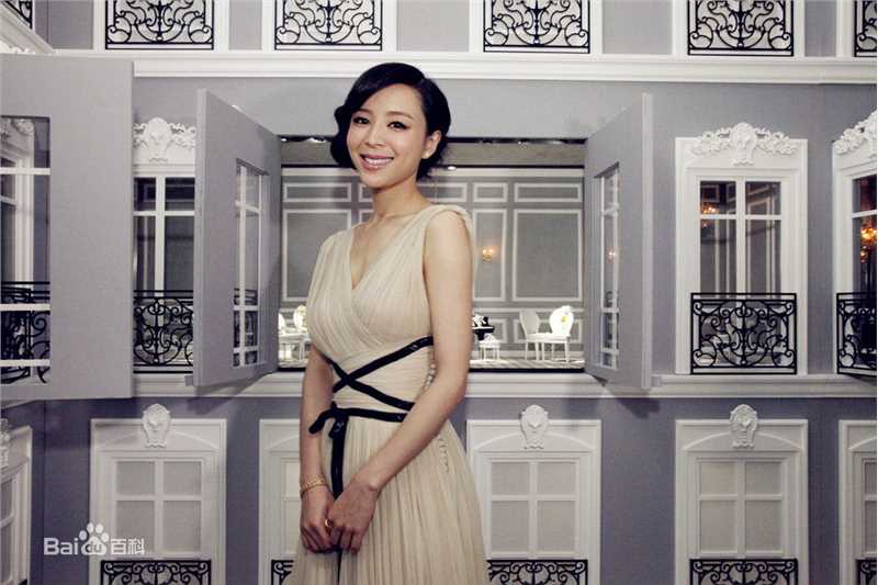 张静初(Zhang Jingchu)精彩图册