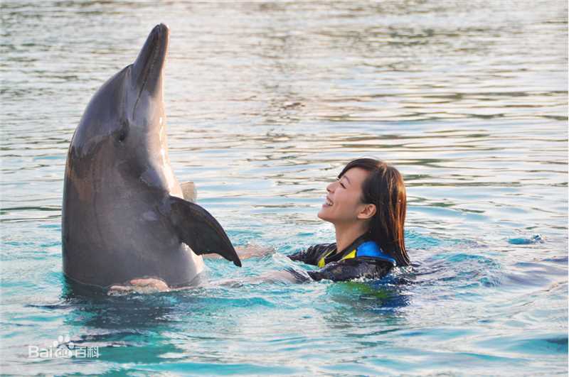 张静初(Zhang Jingchu)精彩图册