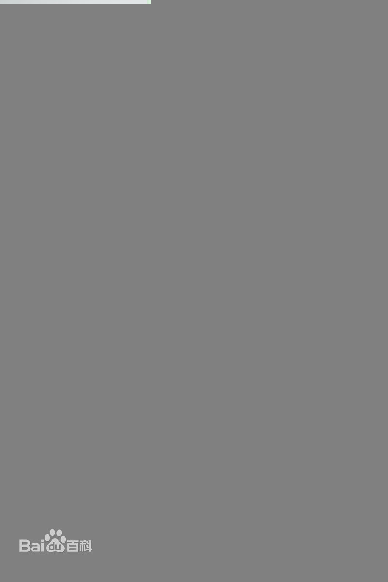 最新张静初(Zhang Jingchu)精彩图册