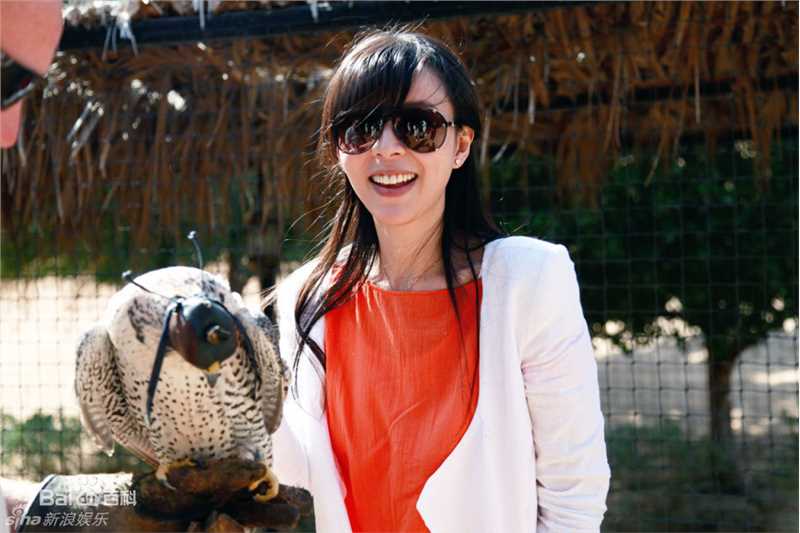 精选张静初(Zhang Jingchu)精彩图册