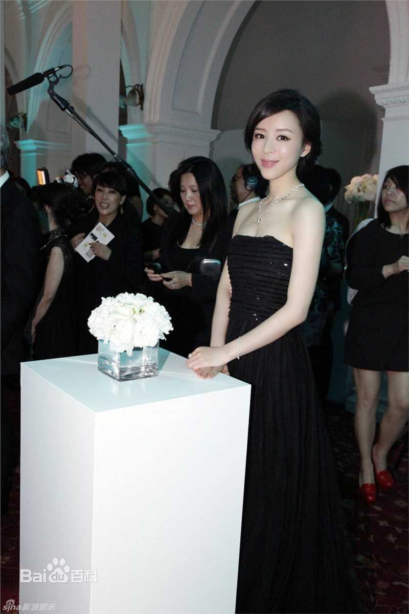 最全张静初(Zhang Jingchu)精彩图册