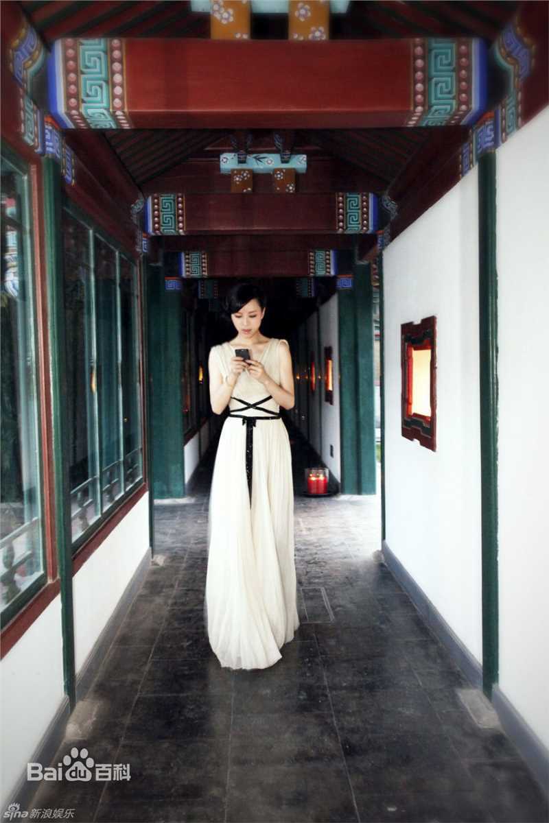 最全张静初(Zhang Jingchu)精彩图册