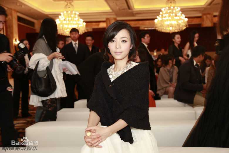 最全张静初(Zhang Jingchu)精彩图册