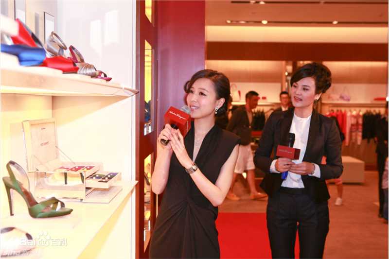 最全张静初(Zhang Jingchu)精彩图册