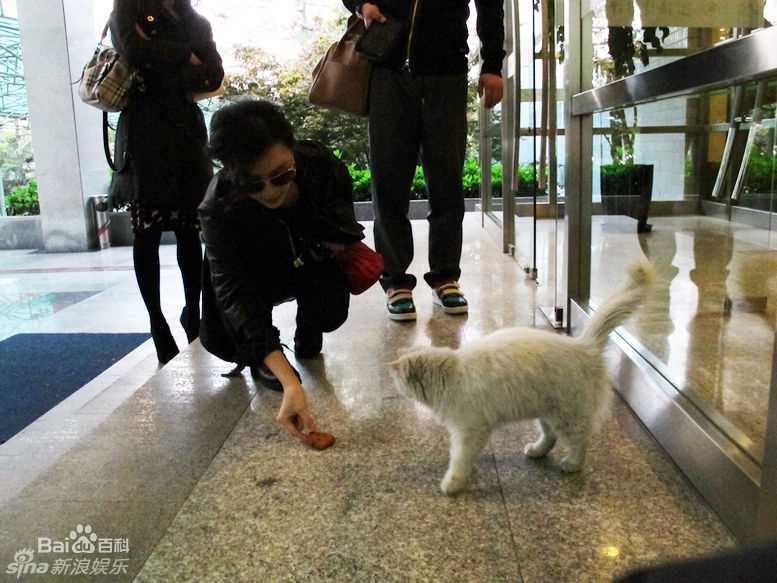 张静初(Zhang Jingchu)精彩图册