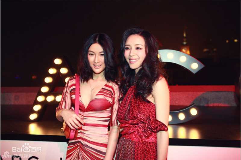 张静初(Zhang Jingchu)精彩图册